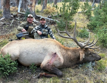 Sns Wyoming Wilderness Elk 2026 13